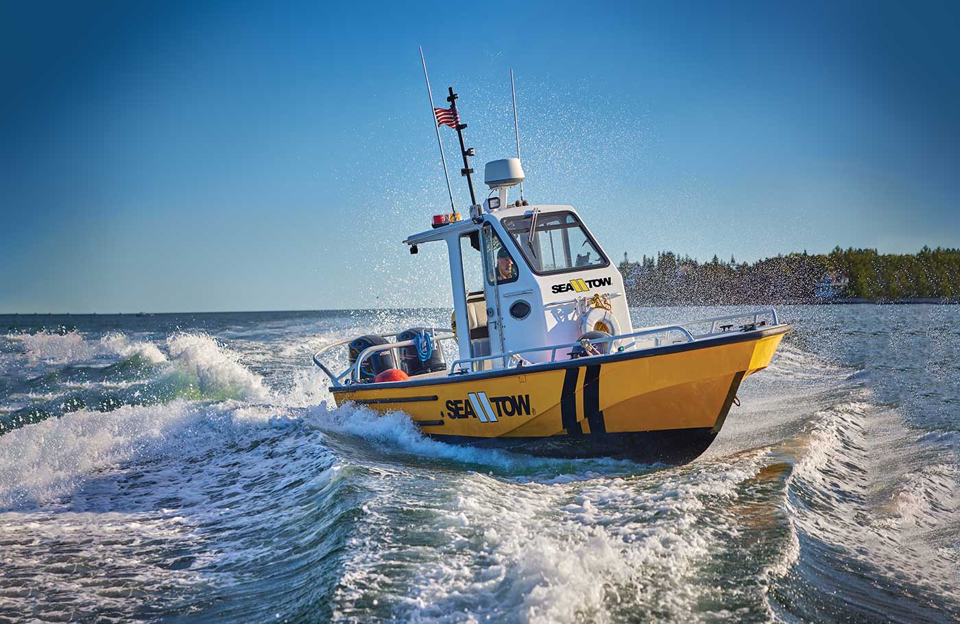 Steve Arnold and Your Local Team